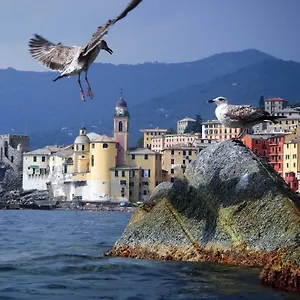  Apartment Il Veliero Italy